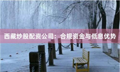西藏炒股配资公司：合规资金与低息优势